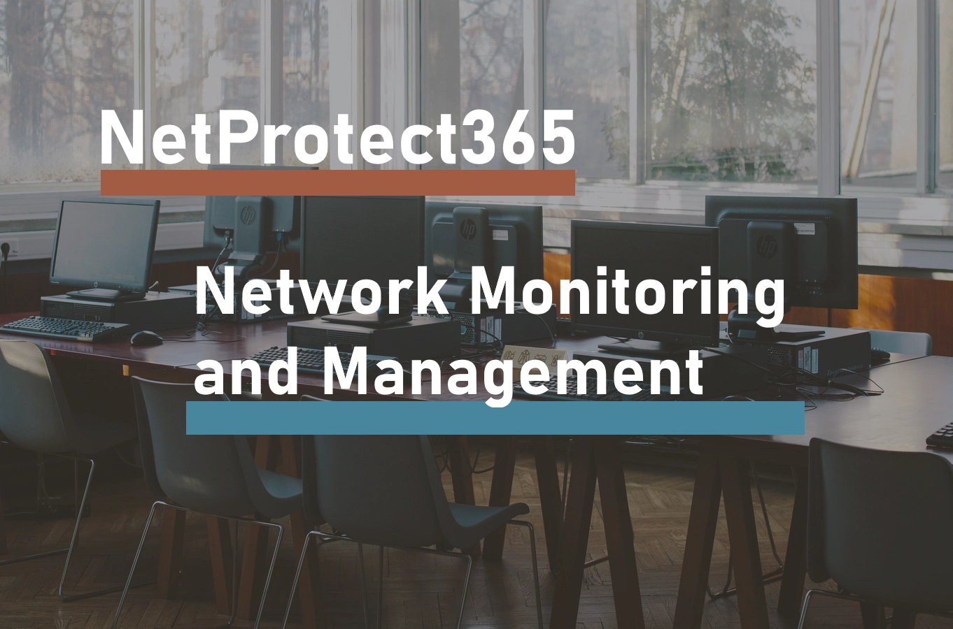 NetProtect365 | Network Monitoring and Management
